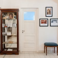 Fotos y vitrinas con diferentes colecciones del museo.